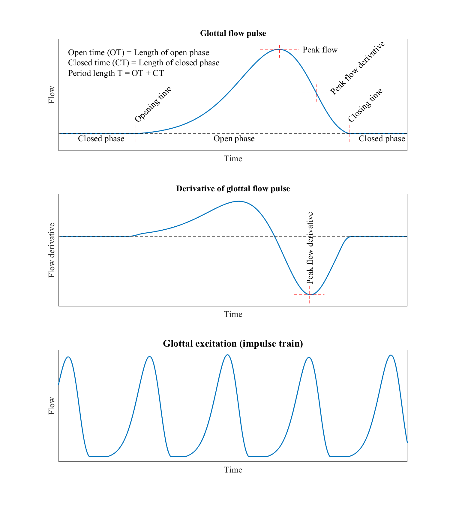glottal flow