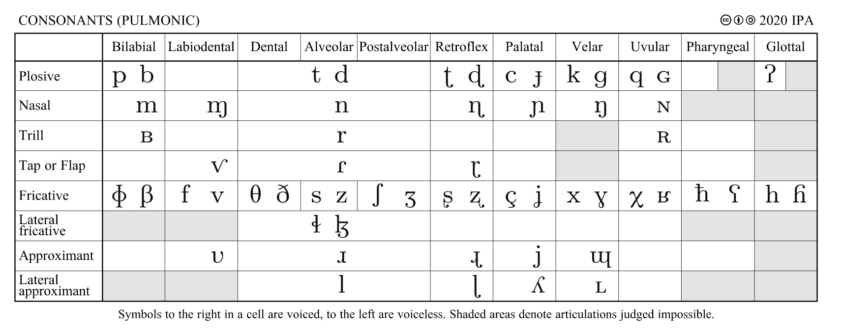 consonants